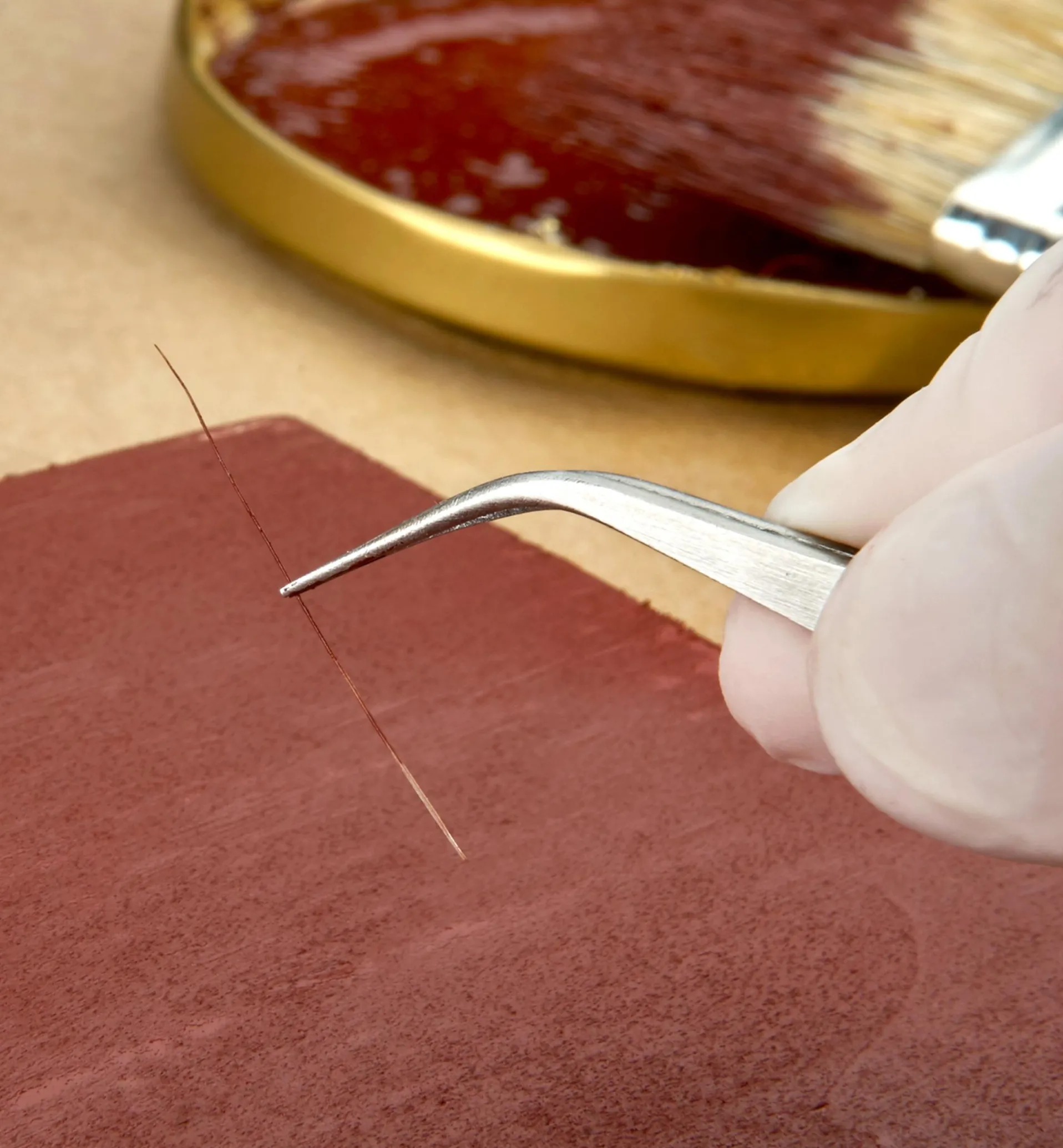 Lee Valley Set Of 3 Forceps