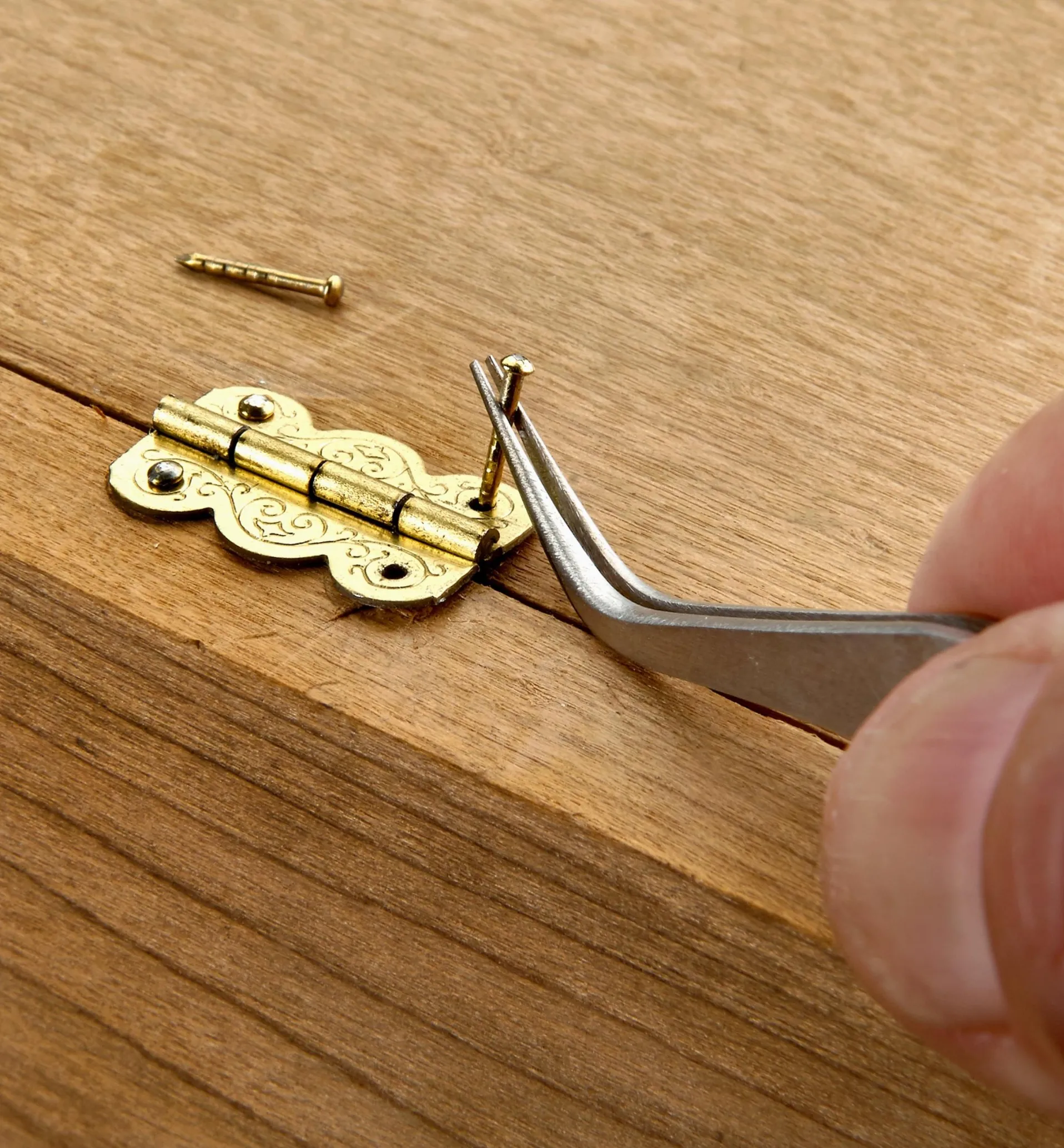 Lee Valley Set Of 3 Forceps