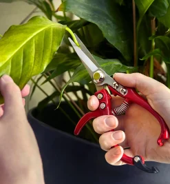 Lee Valley Set Of 2 Mini Garden Shears