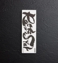 Lee Valley Shapton RockStar Stones