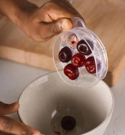 Lee Valley Six-Cherry Pitter