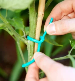 Lee Valley Soft-Stretch Plant Tie