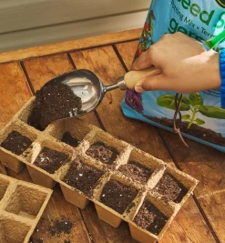 Lee Valley Stainless-Steel Mini Scoop