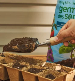 Lee Valley Stainless-Steel Mini Scoop