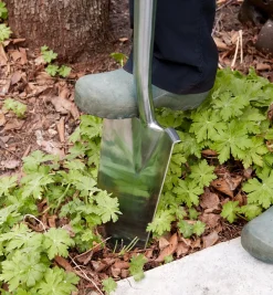 Lee Valley Stainless-Steel Transplant Spade