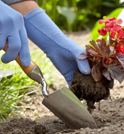 Lee Valley Start A Garden Bed Set