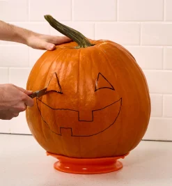 Lee Valley Staybowlizer