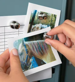 Lee Valley Super Magnets For The Fridge