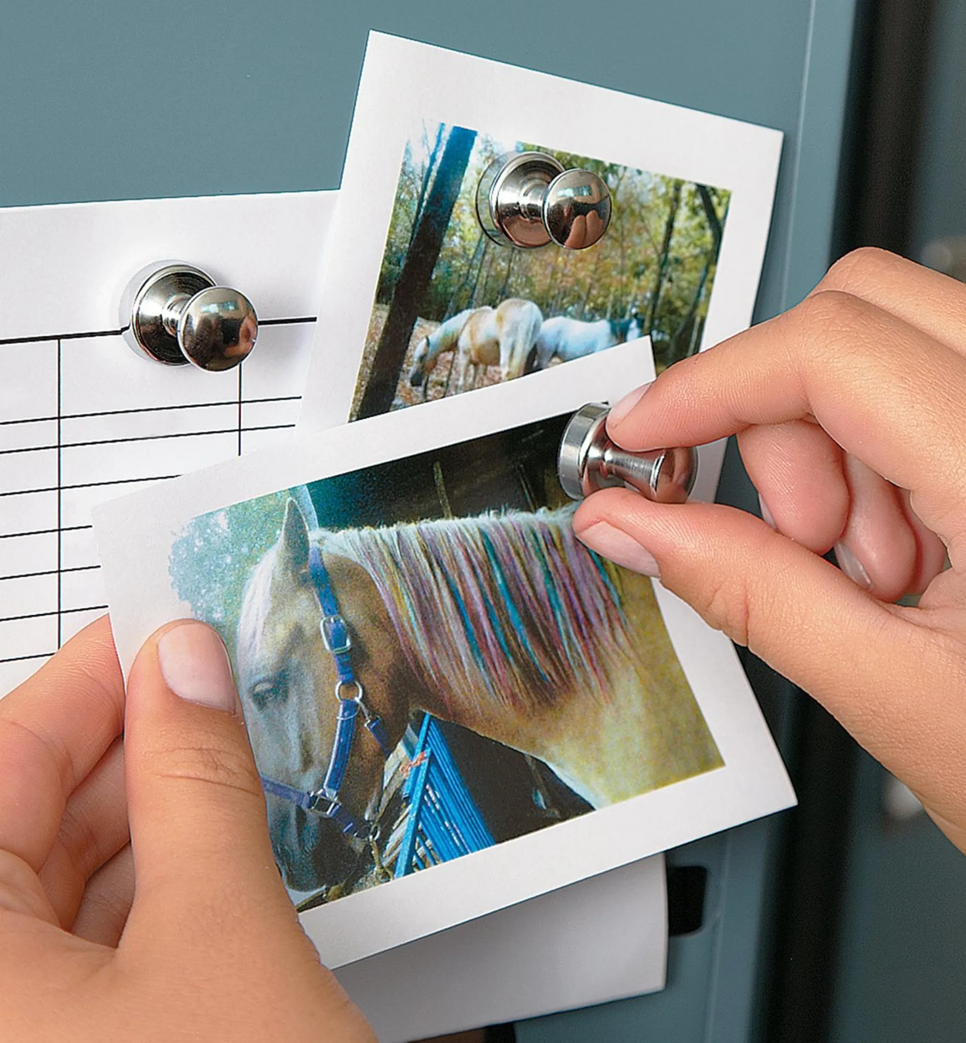 Lee Valley Super Magnets For The Fridge