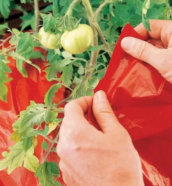 Lee Valley Super Red Mulch