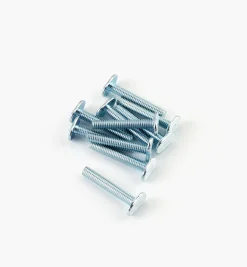 Lee Valley T-Bolts For Veritas T-Slot Tracks (5/16-18 Thread)