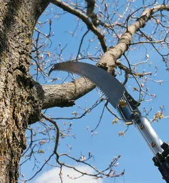 Lee Valley Telescoping Aluminum Pole Saw