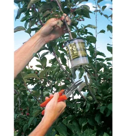 Lee Valley The Rooter Pot