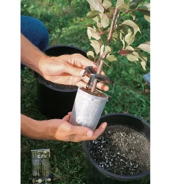 Lee Valley The Rooter Pot