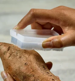 Lee Valley The World's Kindest Nail Brush