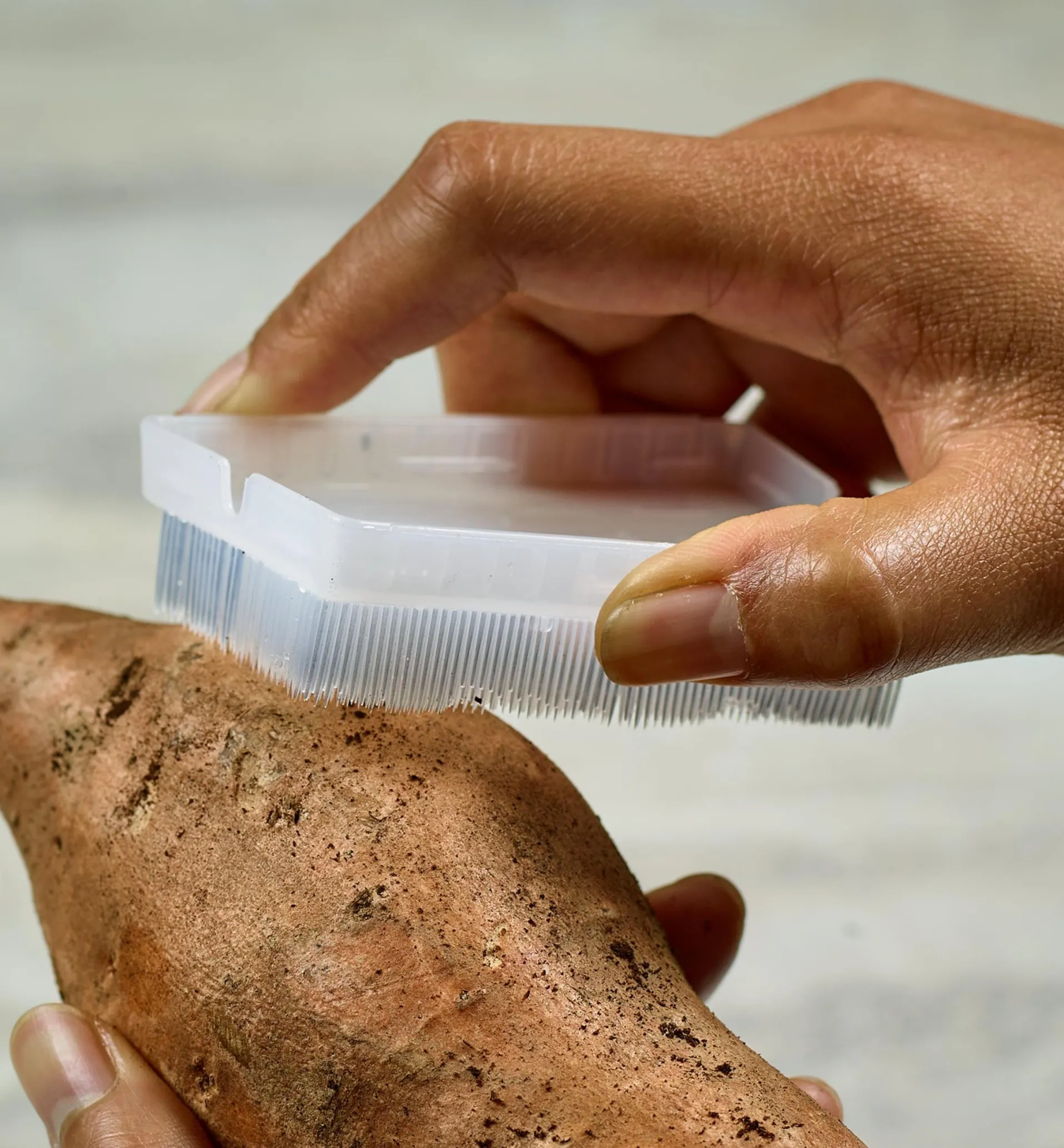 Lee Valley The World's Kindest Nail Brush