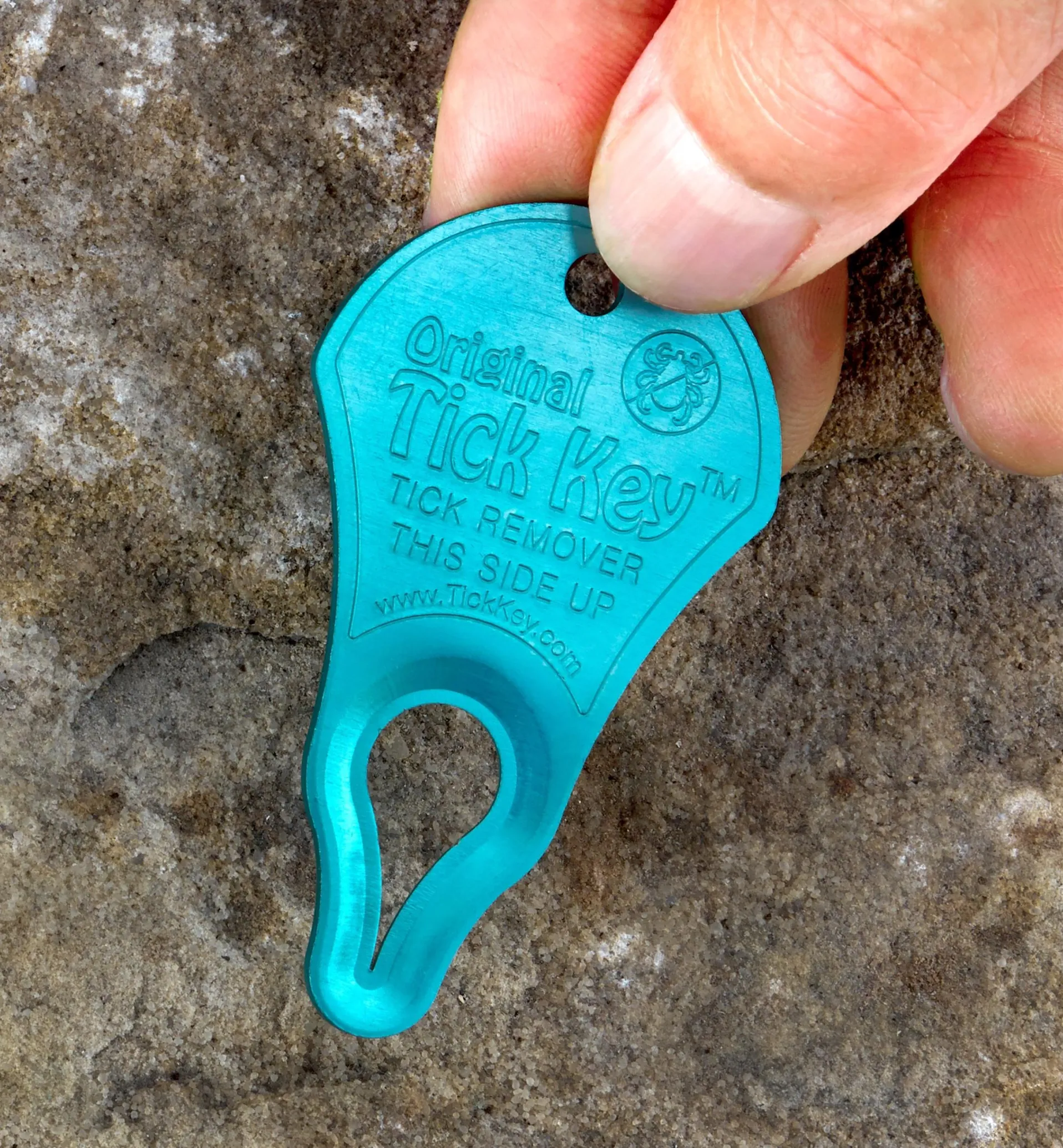 Lee Valley Tick Key Tick Remover