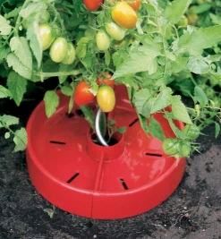 Lee Valley Tomato Craters