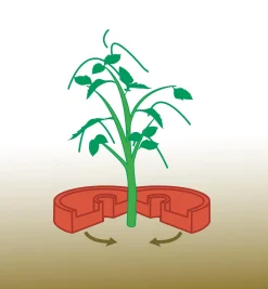 Lee Valley Tomato Craters