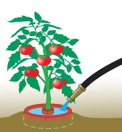 Lee Valley Tomato Craters