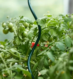 Lee Valley Tomato Spirals