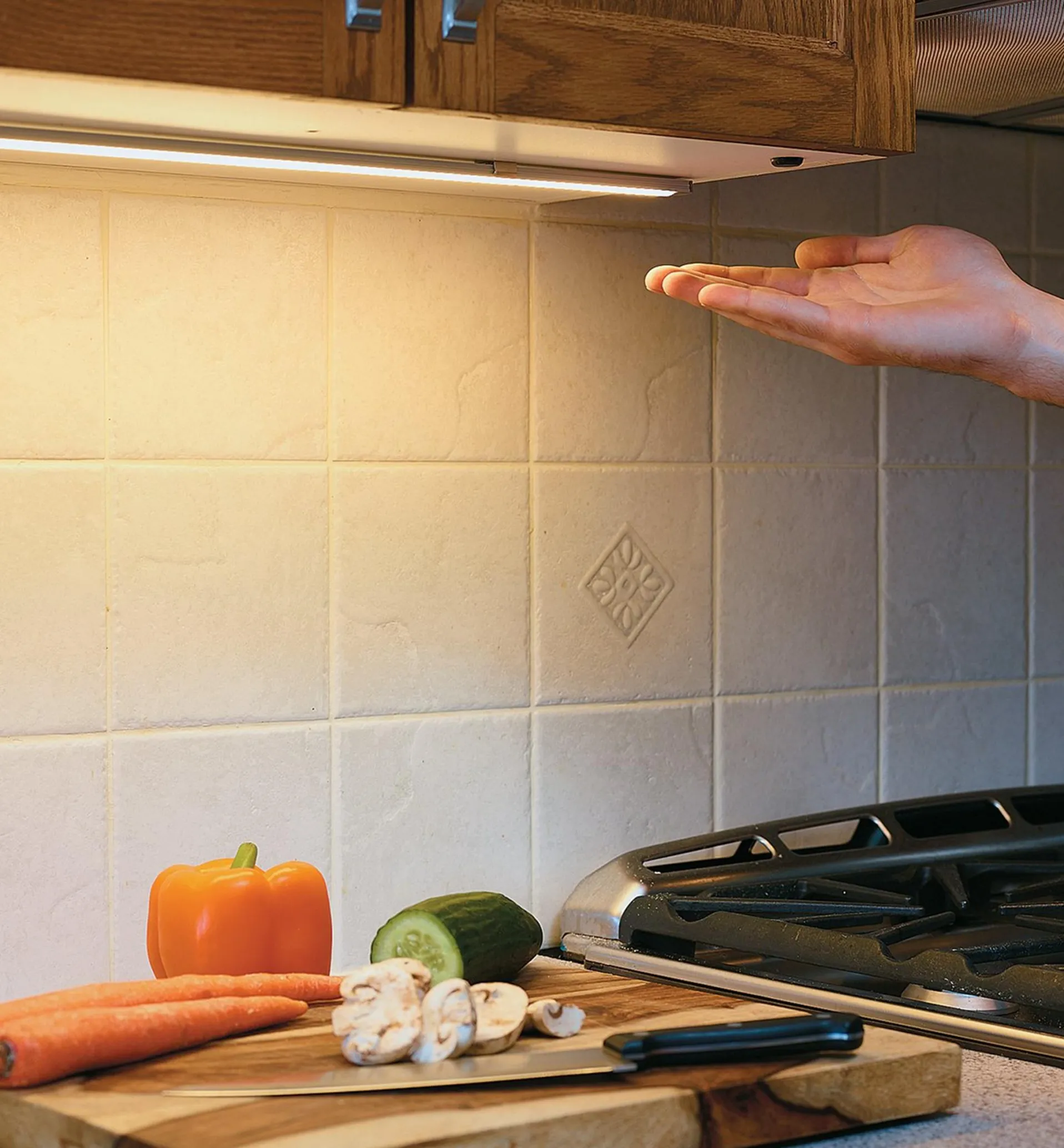 Lee Valley Touchless Dimmer Switch For White LED Lighting