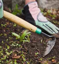 Lee Valley Traditional Japanese Weeder