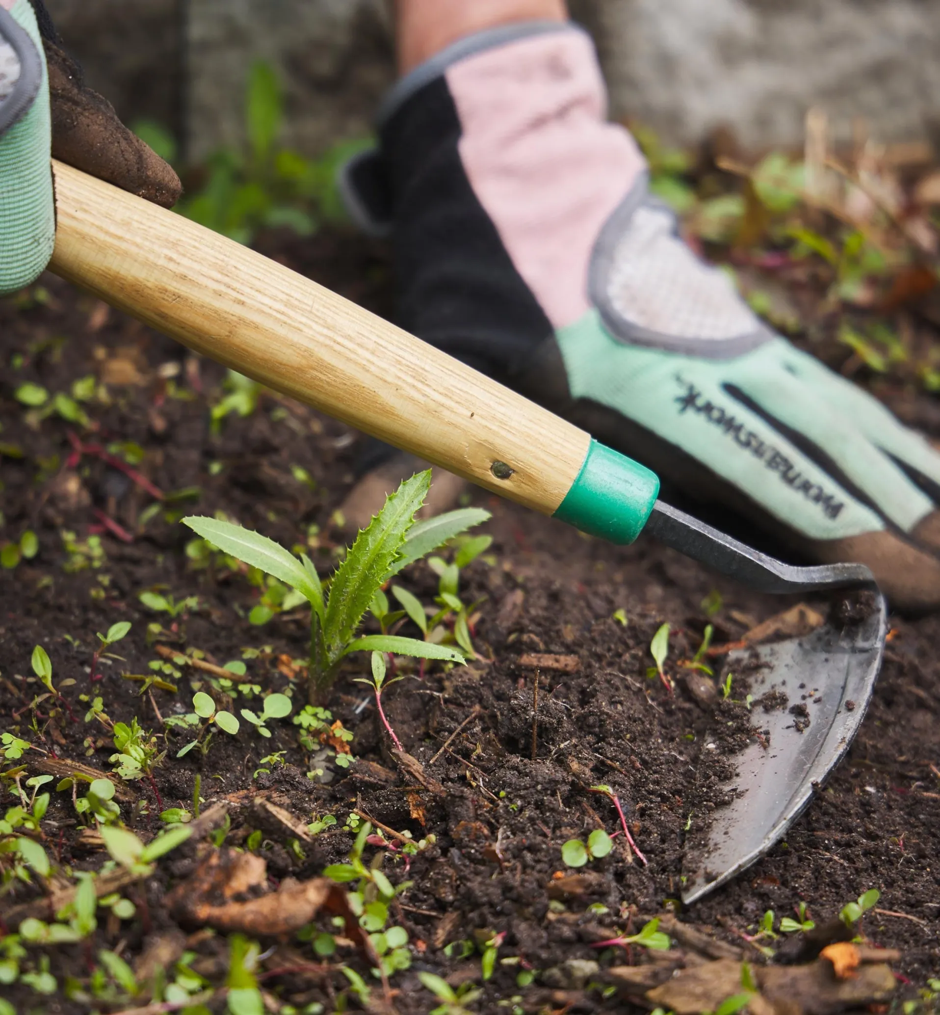 Lee Valley Traditional Japanese Weeder