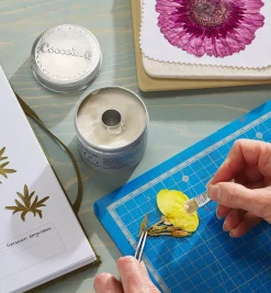 Lee Valley Traditional Paste Glue