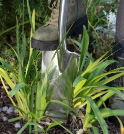 Lee Valley Transplant Spade