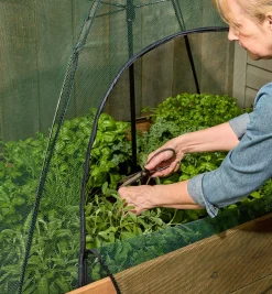 Lee Valley Umbrella Plant Dome