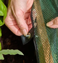 Lee Valley Umbrella Plant Dome