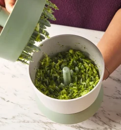 Lee Valley Veggie Ricer