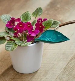 Lee Valley Watering Leaves