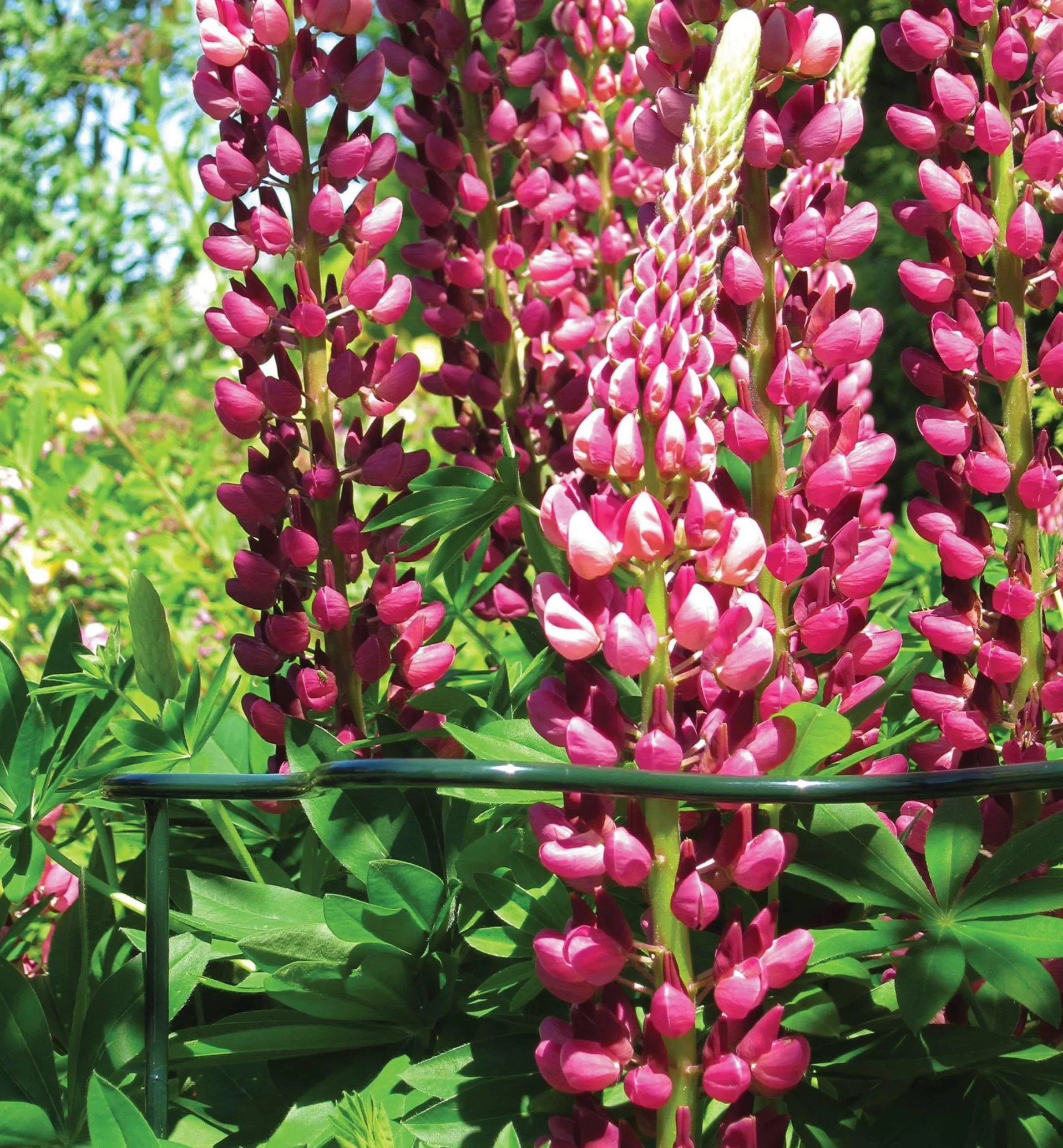 Lee Valley Wavy Half-Circle Support