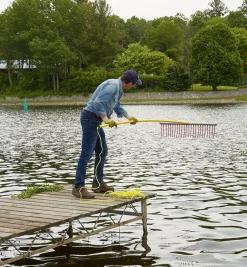 Lee Valley Weed Raker