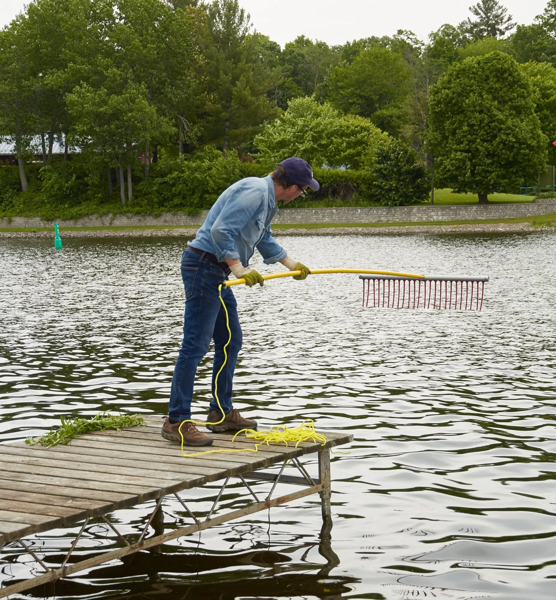 Lee Valley Weed Raker