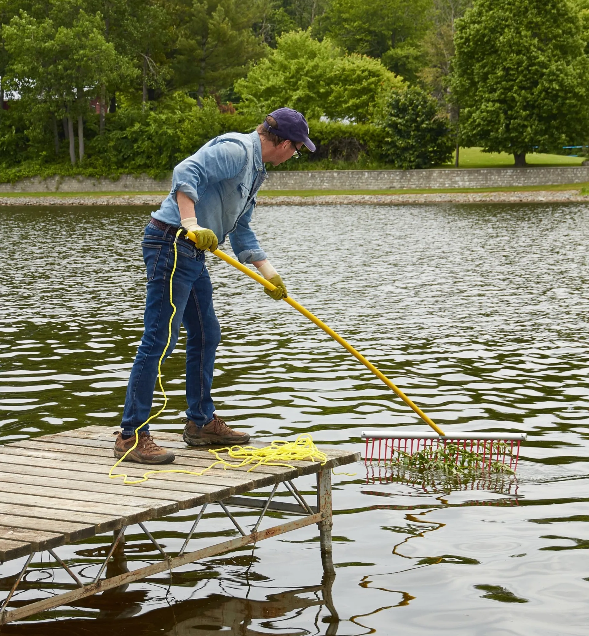 Lee Valley Weed Raker