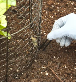 Lee Valley Wire Plant Protectors