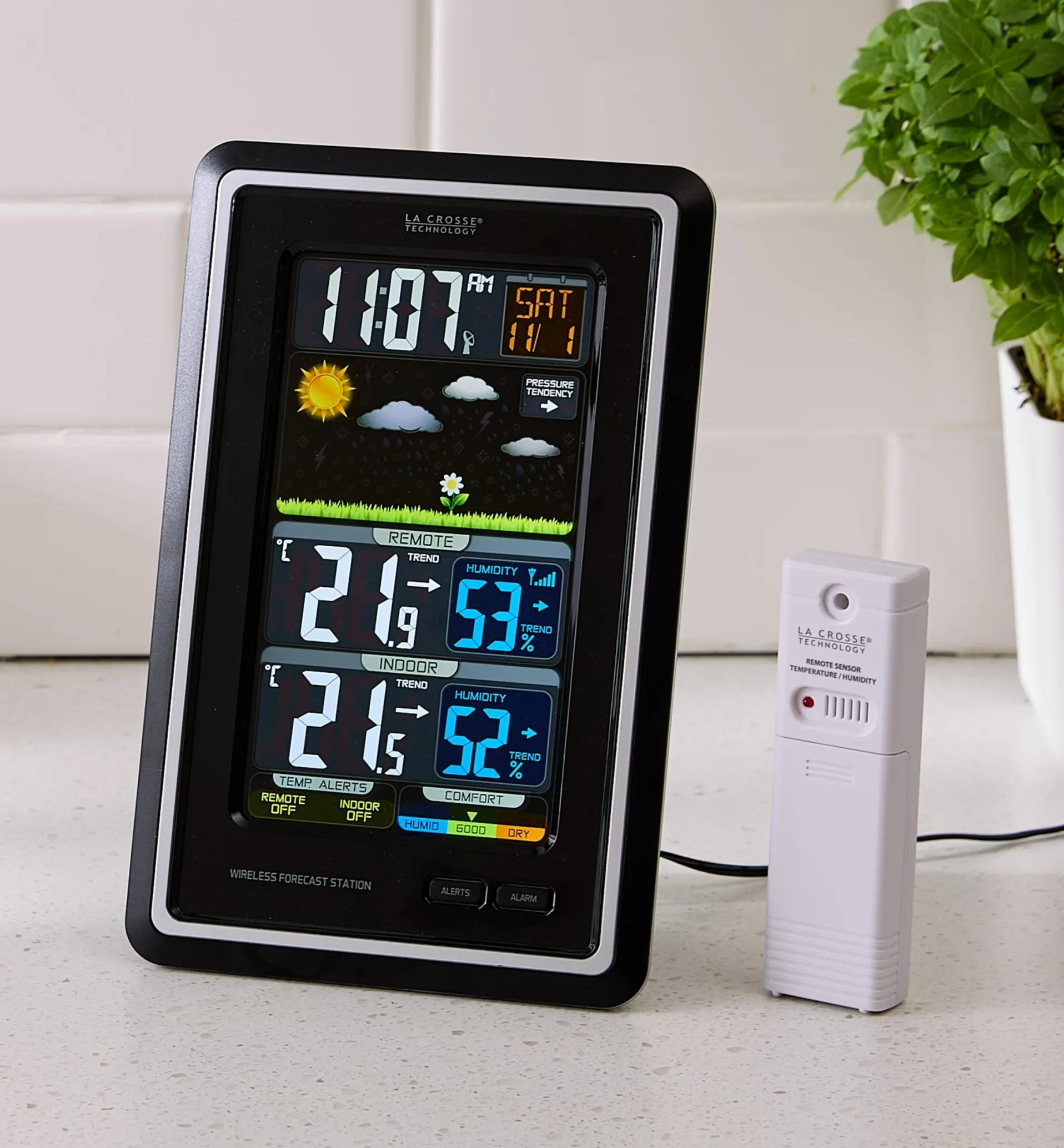 Lee Valley Wireless Color Forecast Station